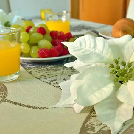 Amazing One Bedroom * Albufeira